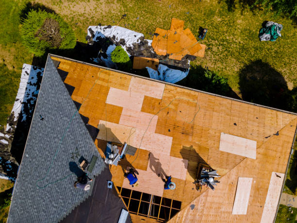 Best Roof Waterproofing Services  in Hamilton, MT
